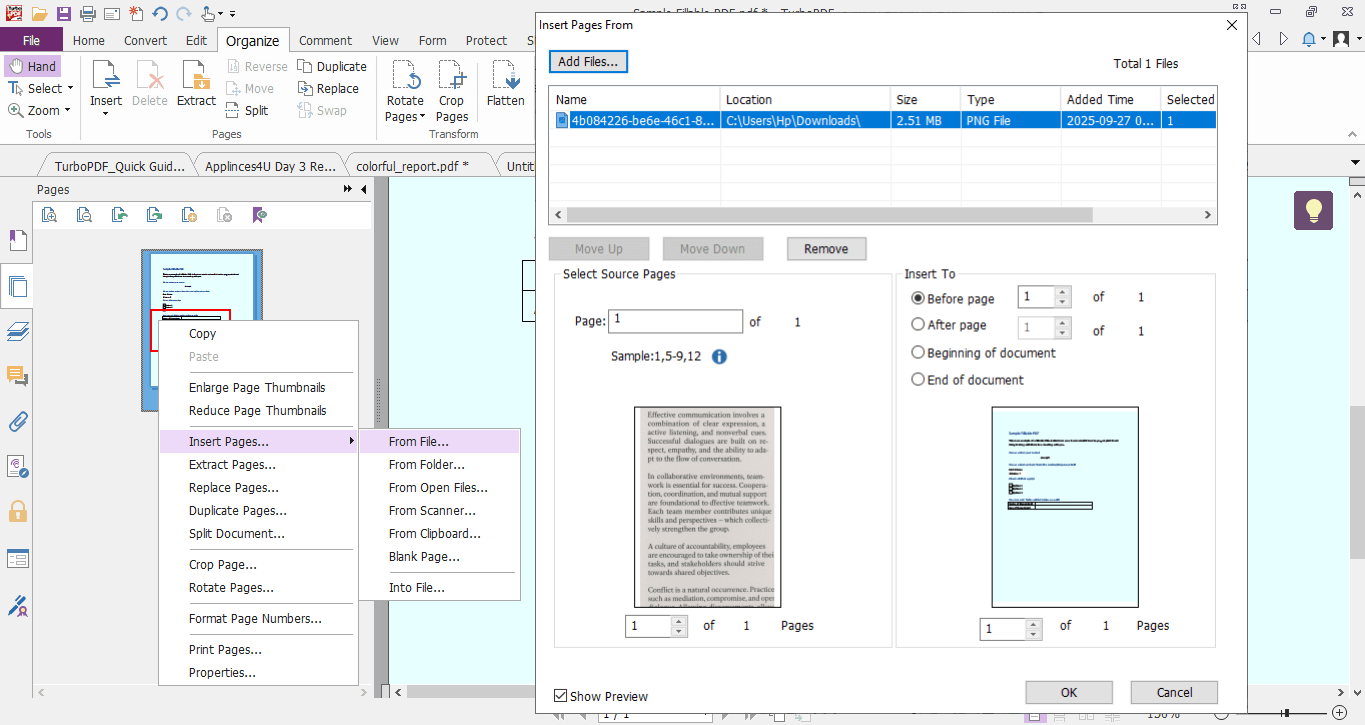 Format Painter 1